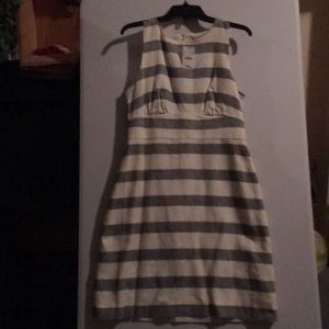 JCrew NWT Linen shift dress